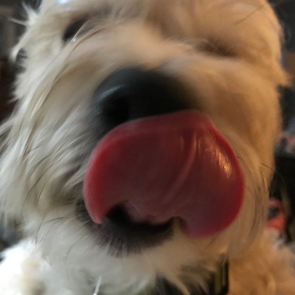 Meet your Posher, Melissa - Picture 9 of 11